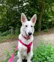 Ruby
