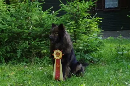 Annabell vom Malefinkbachtal