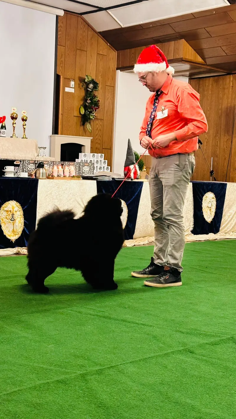 Muffinvelvet kennel main gallery image