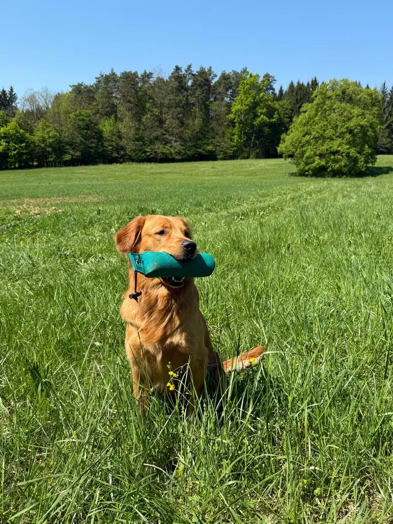 Lennox