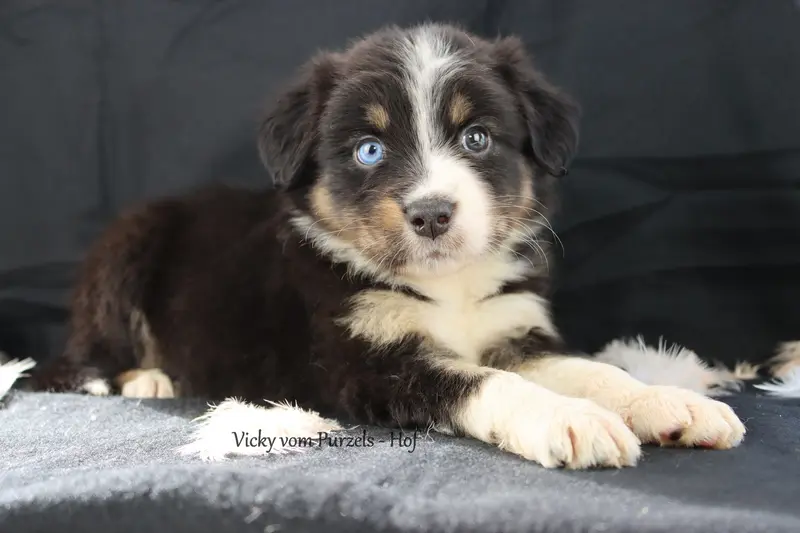 Vicky
