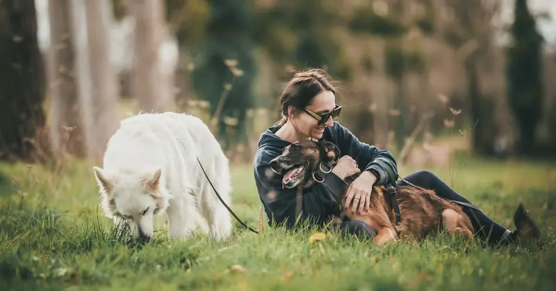 The Other End of the Leash: A Classic on Dogs