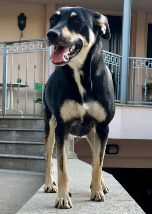 Frieda – Unbekannt
