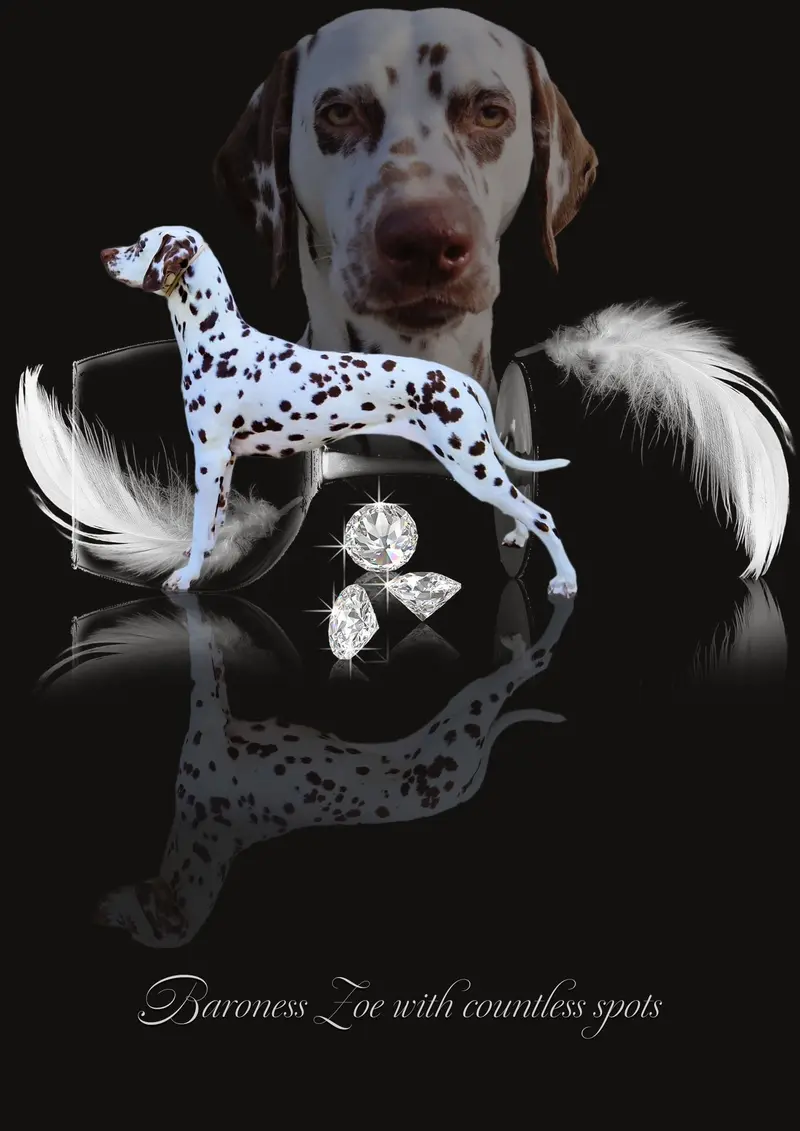 Baroness Zoe with countless spots 