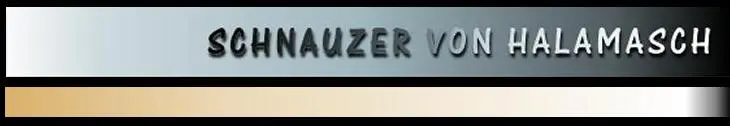 Hündin aus T-Wurf