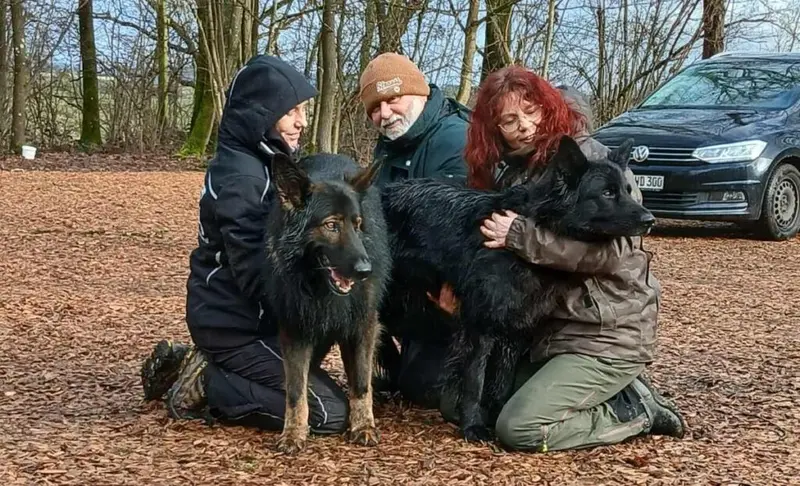 Fussel of Wolfcabs