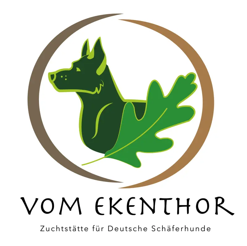vom Ekenthor main gallery image