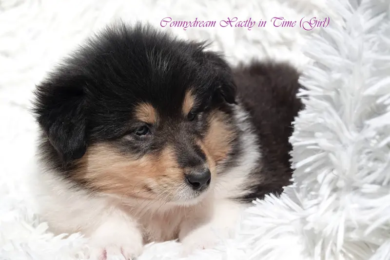 Xena