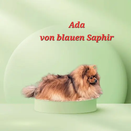 Ada von blauen Saphir