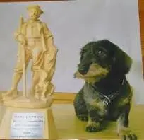 Lenz von der Birkenquelle W