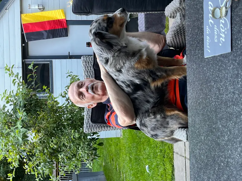 Vergangene Würfe