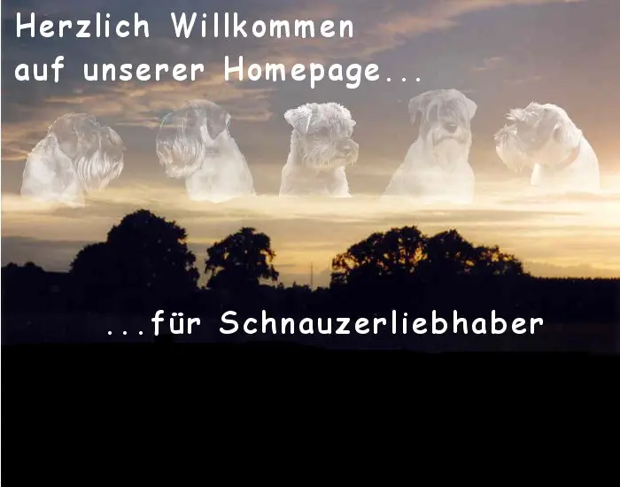 Beatle von der Lederhecke