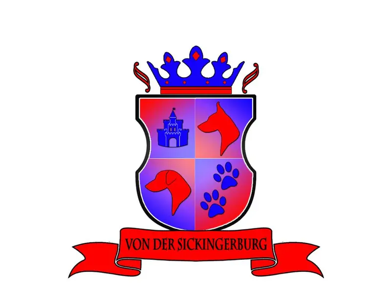Von der Sickingerburg – Dobermann