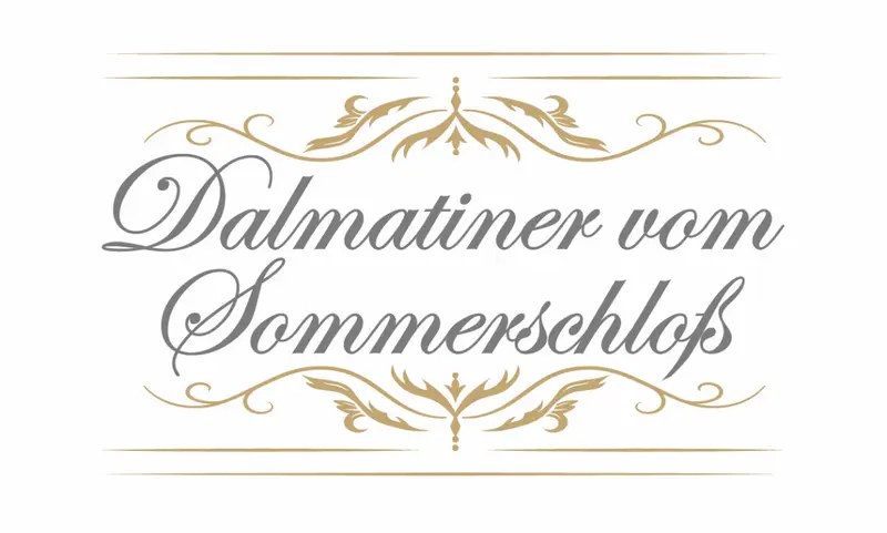Dalmatiner vom Sommerschloß main gallery image