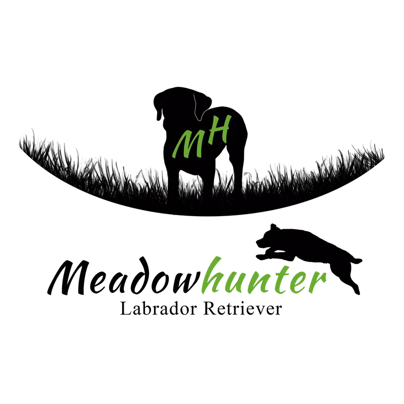 Meadowhunter Labrador Retriever main gallery image