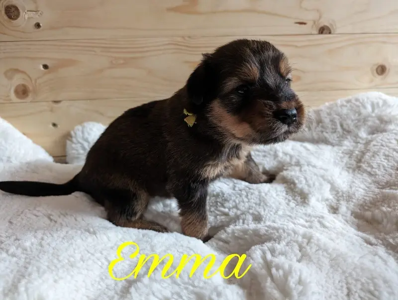 Emma