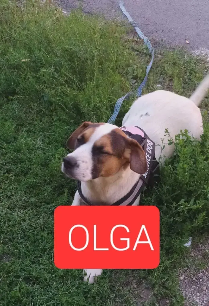Olga main gallery image