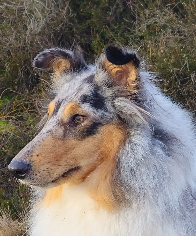 Lakisha of Feeling for Nature