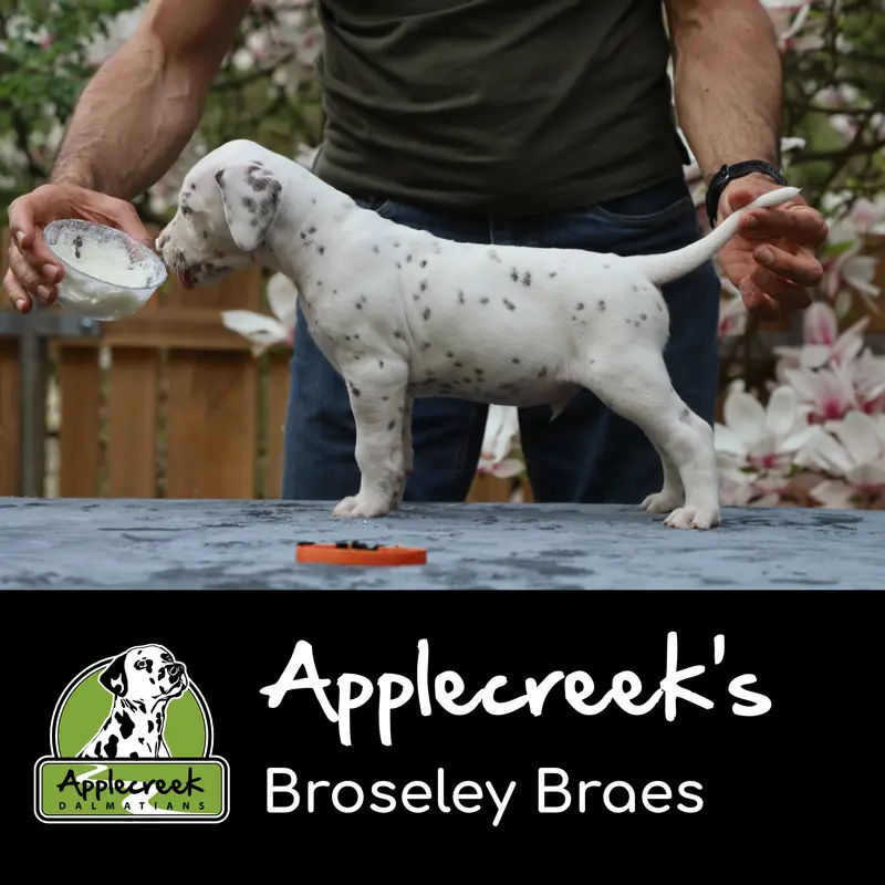 Applecreek’s Broseley Braes