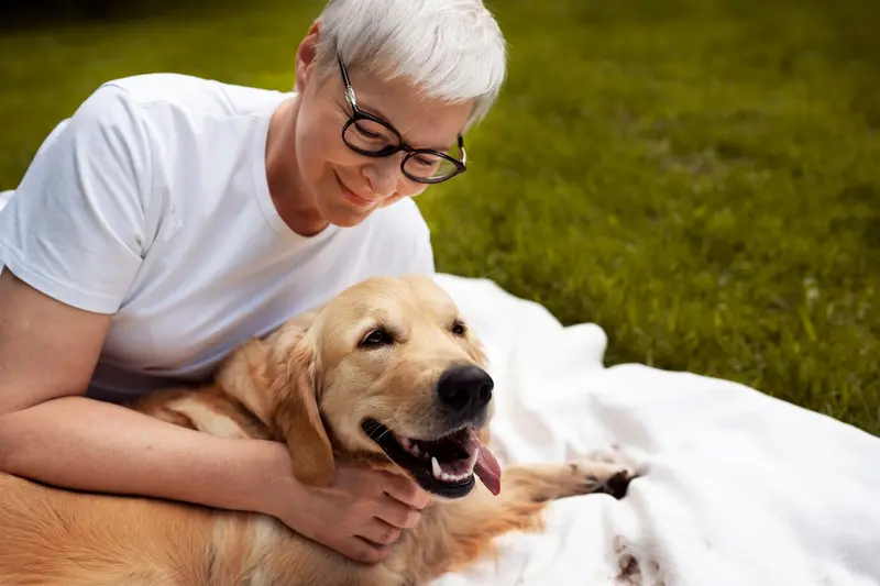Cães para idosos: qual tipo de cão é o ideal para você?