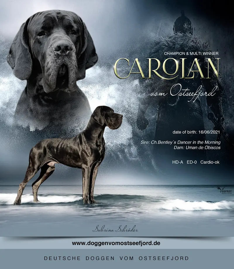 Carolan vom Ostseefjord