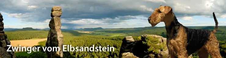 Fiete vom Elbsandstein