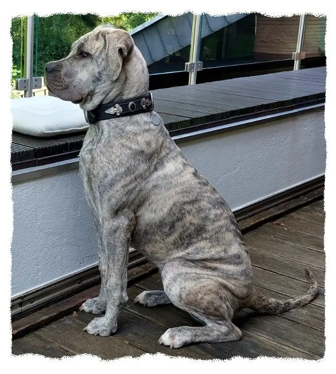 Dakota vom römischen Reich
