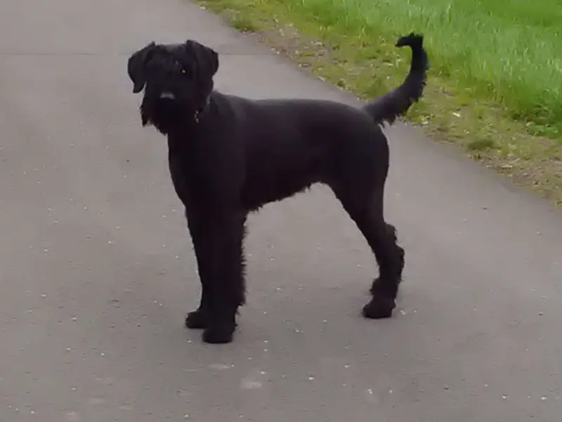 Meggie von slunecnipaprsek