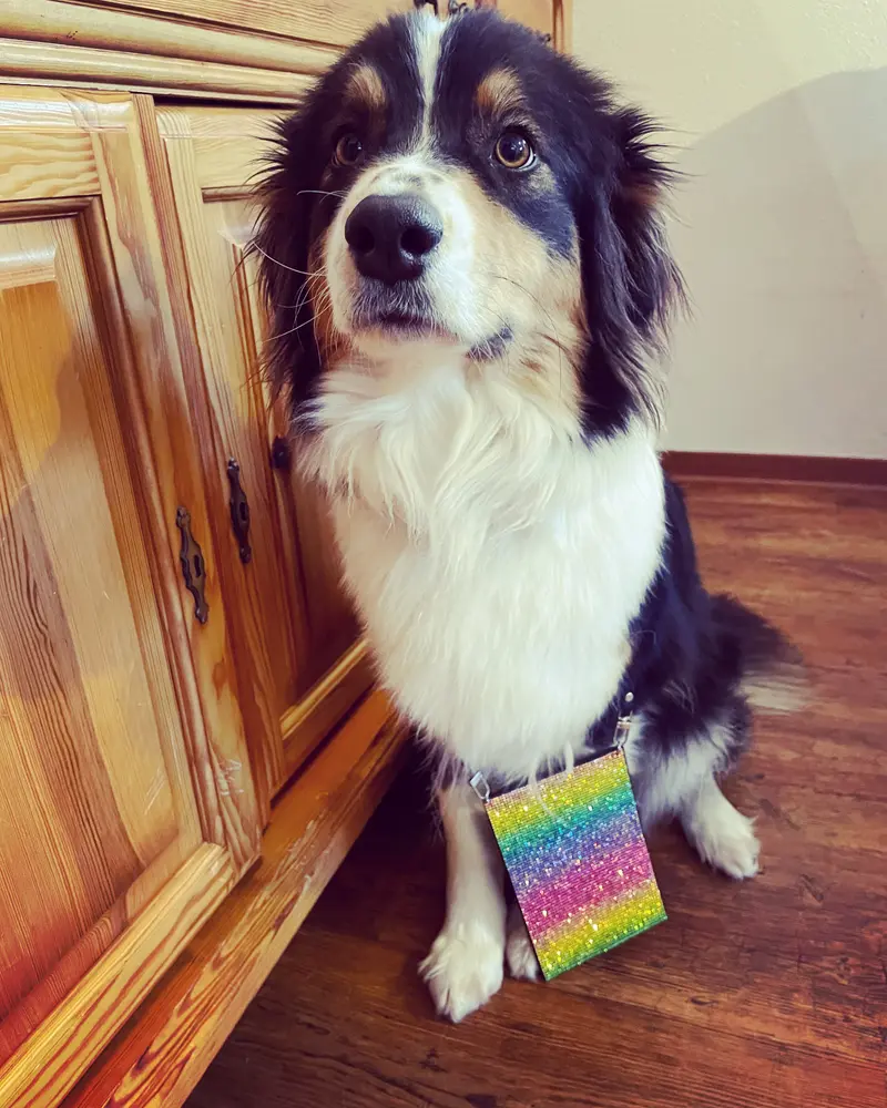 Aska Regenbogen Aussies