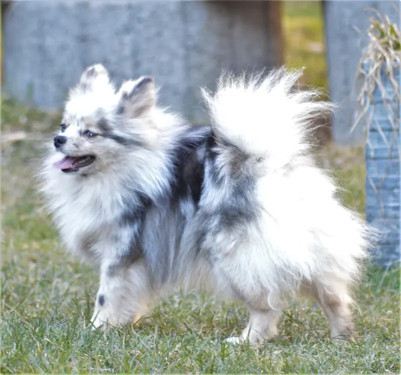 Margo