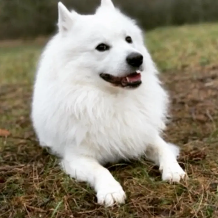 Drogo-von-Villa-Bella-Berlin