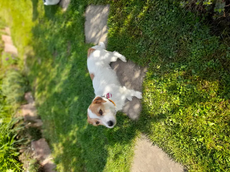 Amy