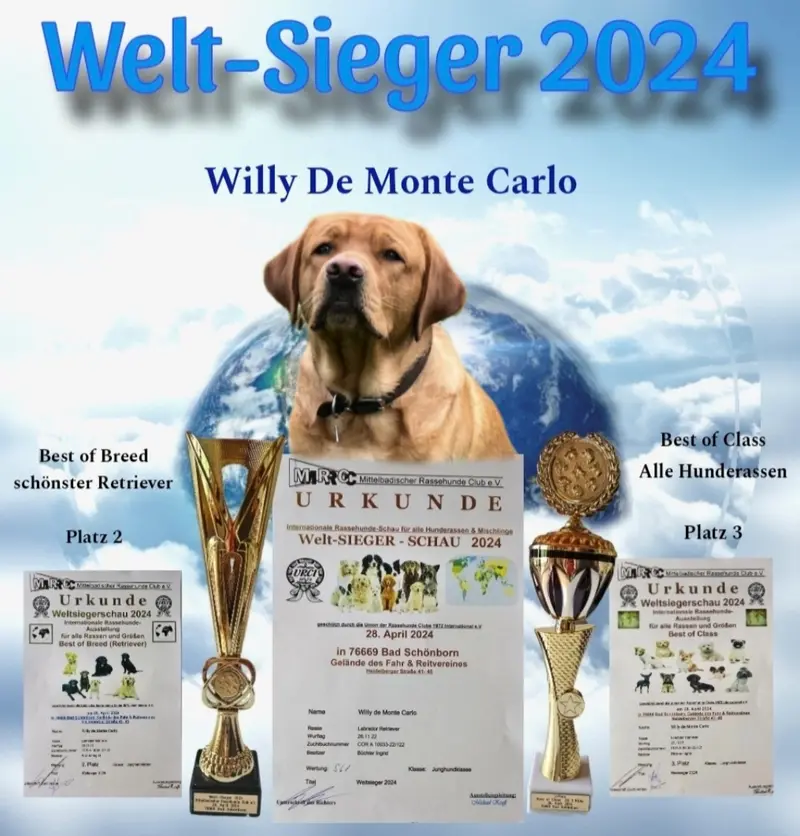 Willy De Monte Carlo