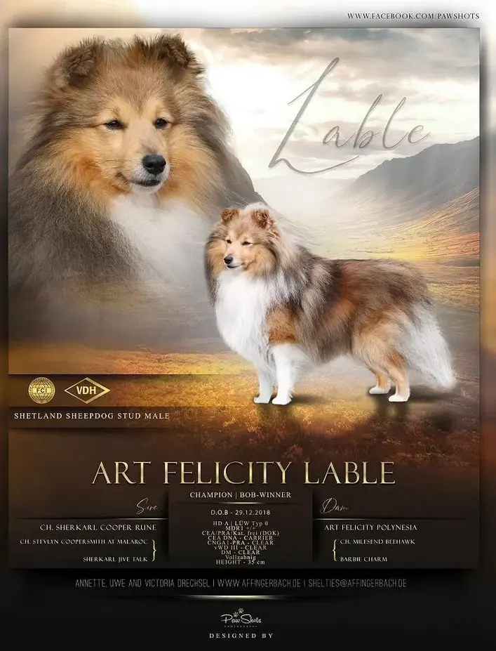 Art Felicity Lable