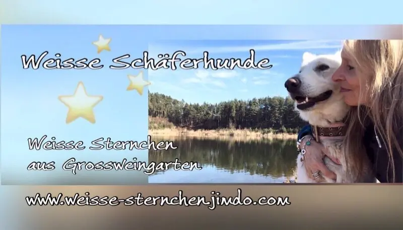 Weisse Sternchen aus Grossweingarten main gallery image