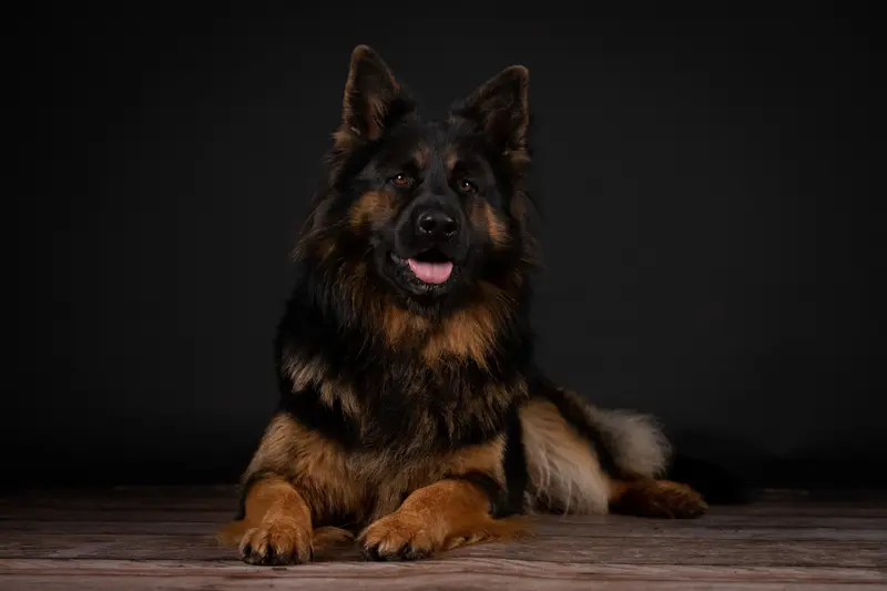 Cooper von Mar-Nad