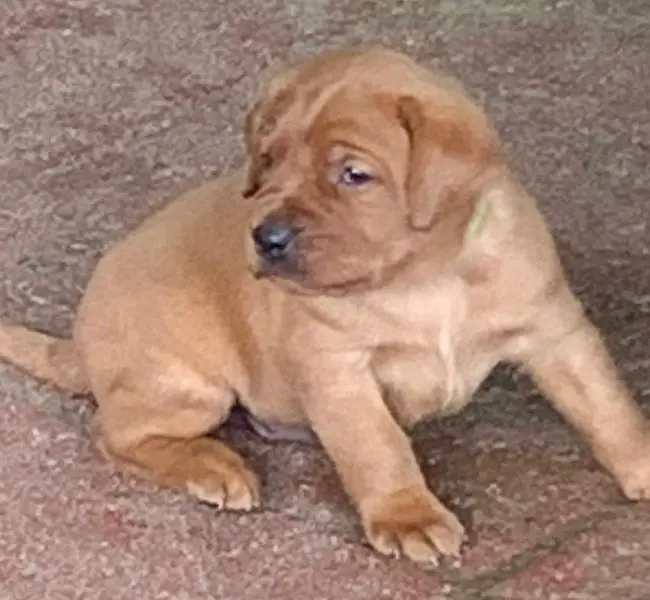 Mia