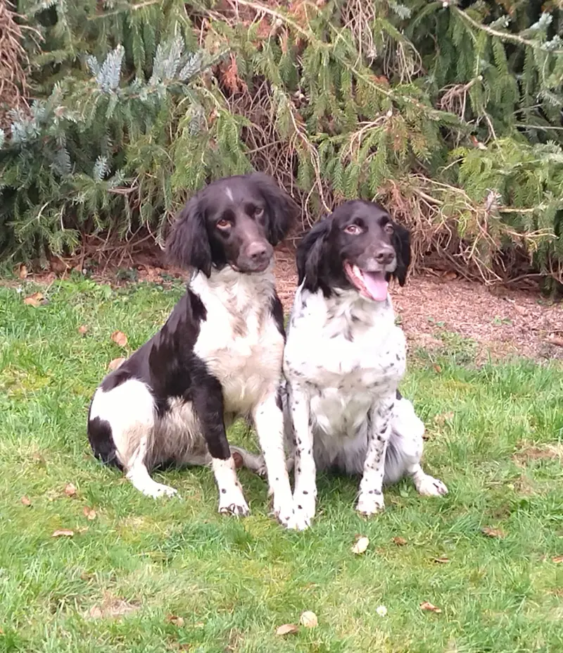 Amy und ary