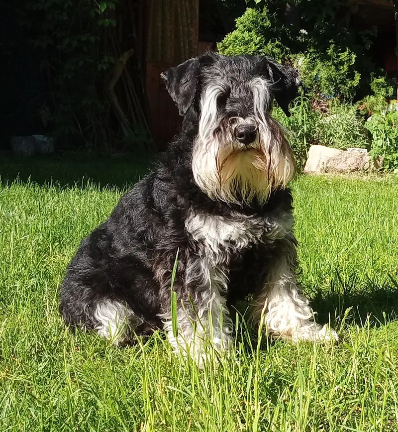 Bella Ciao von den Parthewiesen