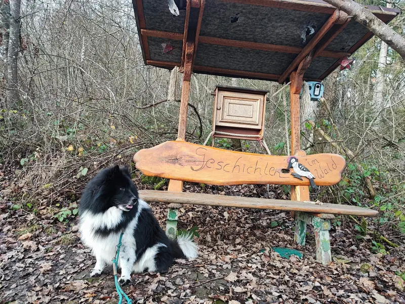 Flippern von der kleinen Farm 