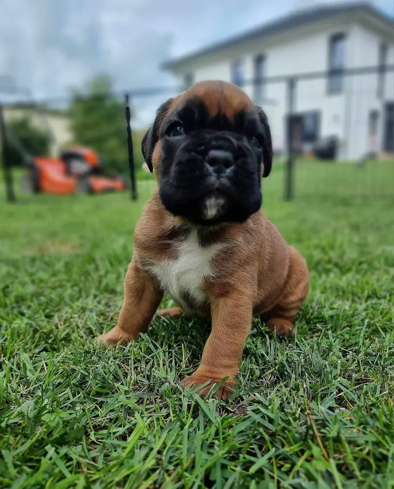 E.T.