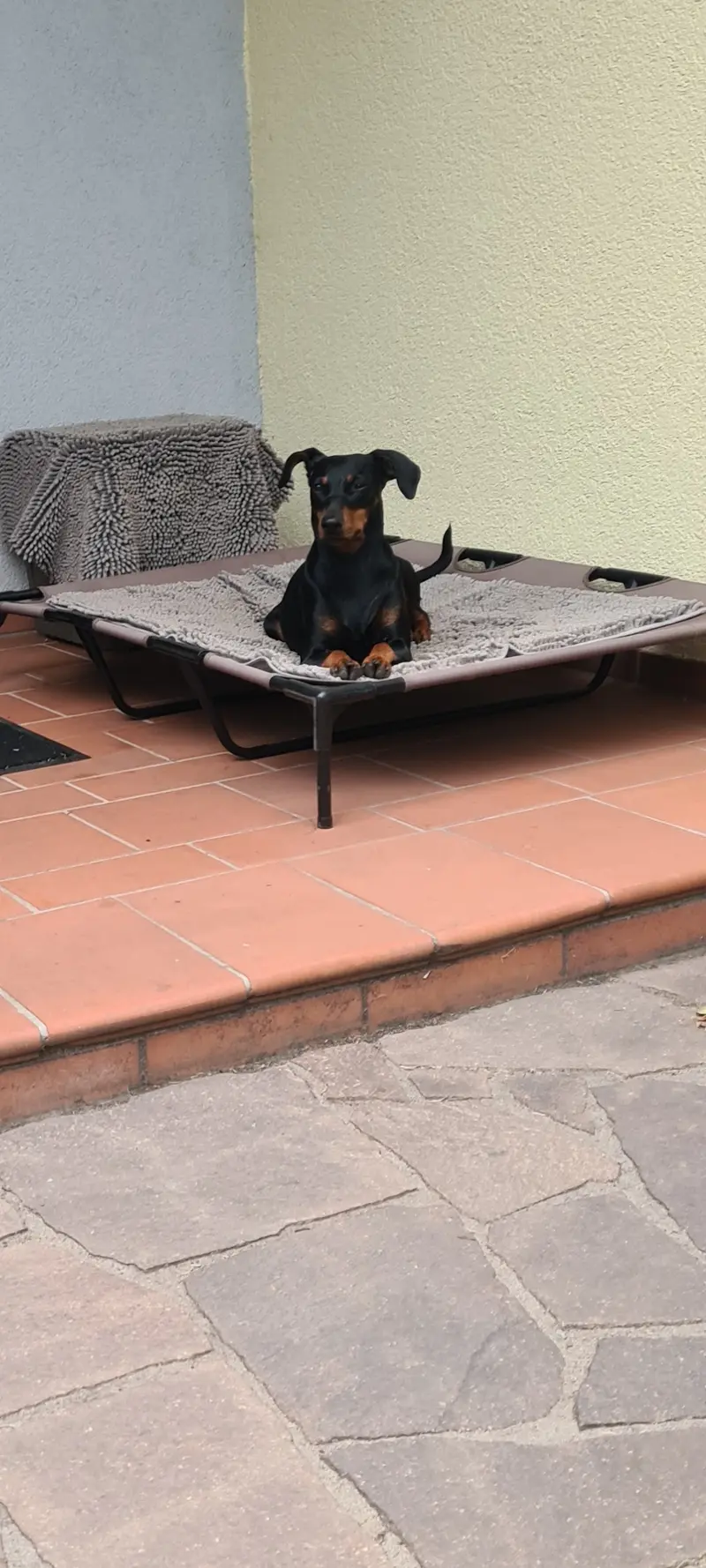 Angel vom Orensfels 