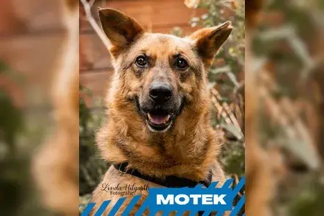 Motek main gallery image