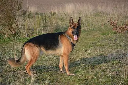 Molly von Ipstein