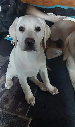 Sam