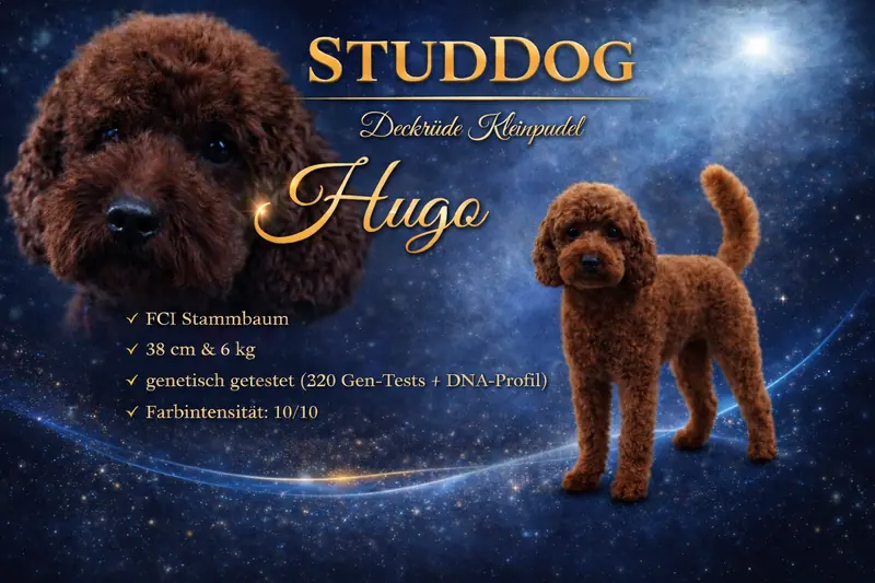 Hugo