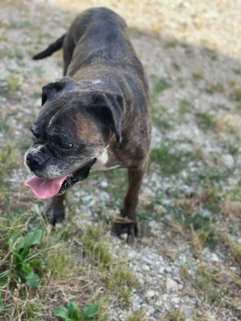 Nora 