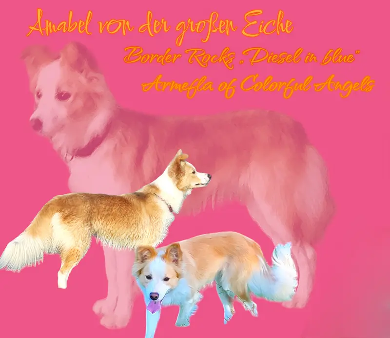 Amabel von der großen Eiche 