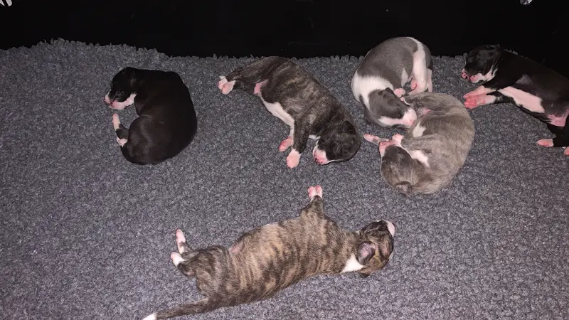 Noch nicht  bekannt