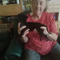 Previous puppy: Viktor